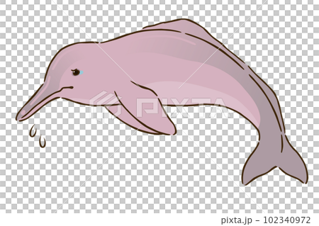 sad amazon river dolphin sad amazon river dolphin 102340972