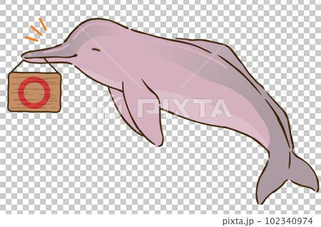 Amazon river dolphin with a circle mark Amazon river dolphin with a circle mark 102340974