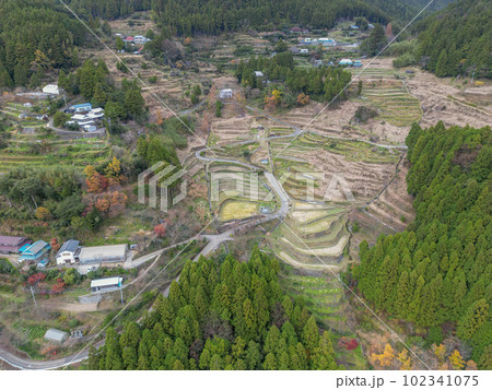 樫原の棚田 樫原の棚田 102341075