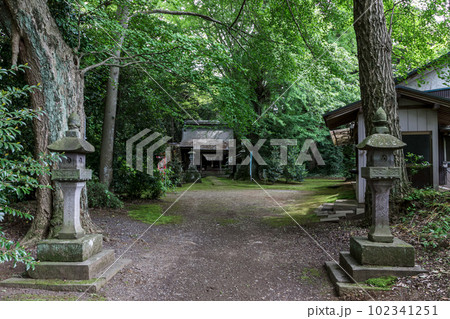 苔むした子安神社拝殿前の参道【茨城県かすみがうら市】 苔むした子安神社拝殿前の参道【茨城県かすみがうら市】 102341251