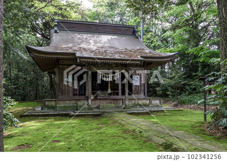 苔むした子安神社拝殿【茨城県かすみがうら市】 苔むした子安神社拝殿【茨城県かすみがうら市】 102341256