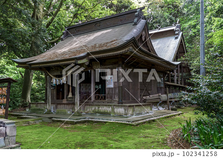 苔むした子安神社拝殿【茨城県かすみがうら市】 苔むした子安神社拝殿【茨城県かすみがうら市】 102341258
