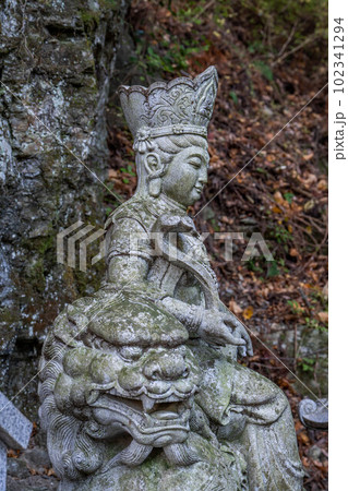 焼山寺 焼山寺 102341294