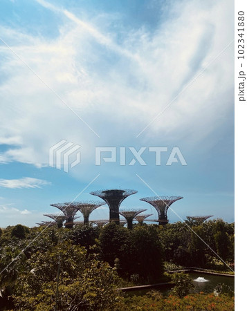 シンガポール花のオブジェ シンガポール花のオブジェ 102341880