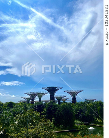 シンガポール観光名所 シンガポール観光名所 102341881