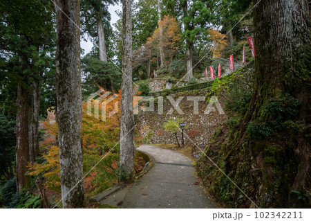 太龍寺 太龍寺 102342211