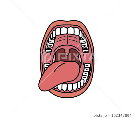 口腔の解剖（文字なし） 102342894