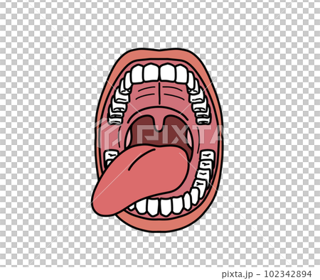 口腔の解剖（文字なし） 102342894