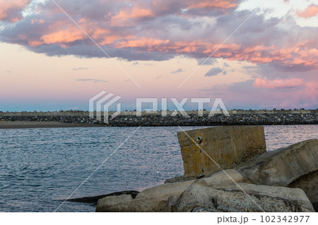 茨城県日立市　会瀬港湾内の磯 102342977
