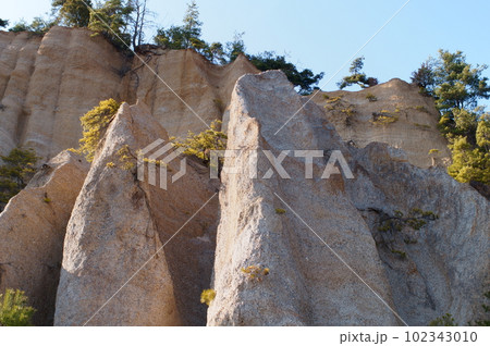 長野県上田市の指定文化財 鴻の巣 長野県上田市の指定文化財 鴻の巣 102343010