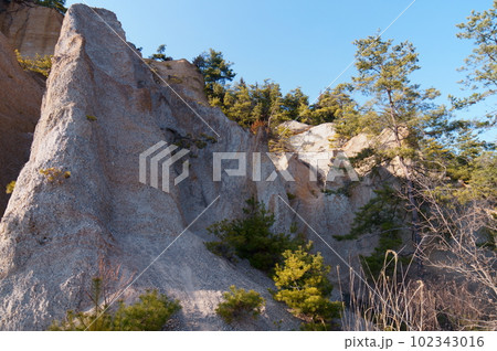 長野県上田市の指定文化財 鴻の巣 102343016