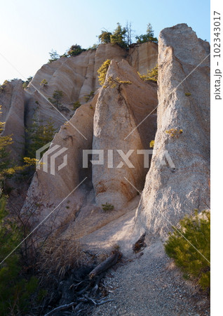 長野県上田市の指定文化財 鴻の巣 102343017
