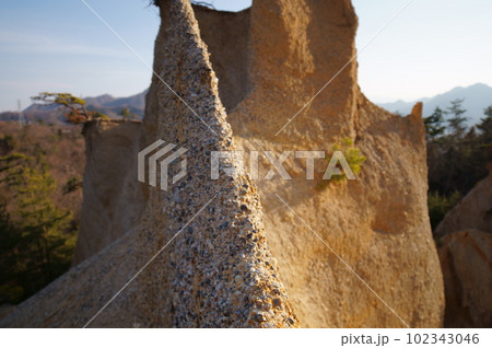長野県上田市の指定文化財 鴻の巣 長野県上田市の指定文化財 鴻の巣 102343046
