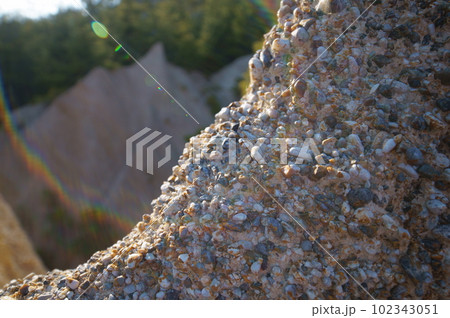 長野県上田市の指定文化財 鴻の巣 長野県上田市の指定文化財 鴻の巣 102343051