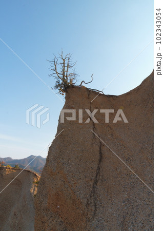 長野県上田市の指定文化財 鴻の巣 102343054