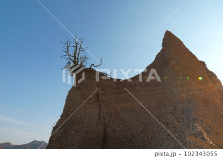 長野県上田市の指定文化財 鴻の巣 長野県上田市の指定文化財 鴻の巣 102343055