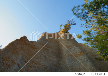 長野県上田市の指定文化財 鴻の巣 102343061