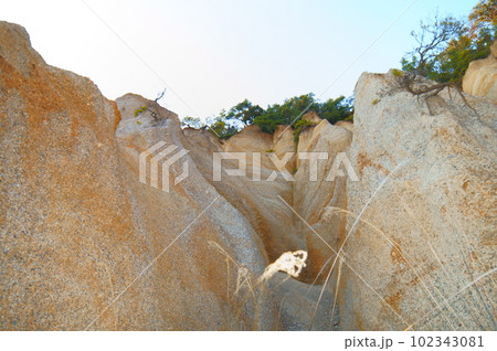 長野県上田市の指定文化財 鴻の巣 長野県上田市の指定文化財 鴻の巣 102343081