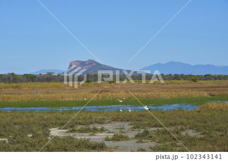 タウンズビル遠景 タウンズビル遠景 102343141