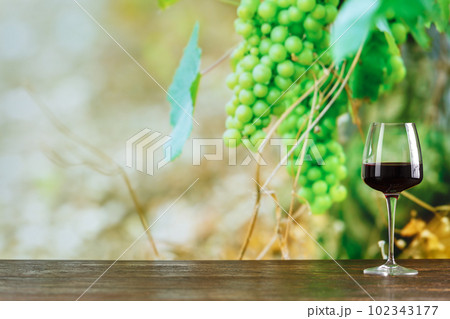 A glass of wine on a background of ripe grapes A glass of wine on a background of ripe grapes 102343177