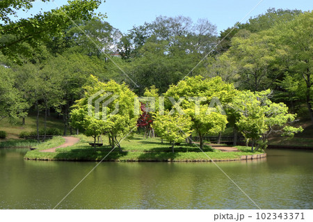 ロマンチック茨城(植物聖人たちが呼吸をすると空気は浄化される。ここは「緑の園」。)笠間市、北山公園 ロマンチック茨城(植物聖人たちが呼吸をすると空気は浄化される。ここは「緑の園」。)笠間市、北山公園 102343371