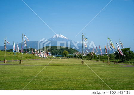 富士山　鯉のぼり　 102343437