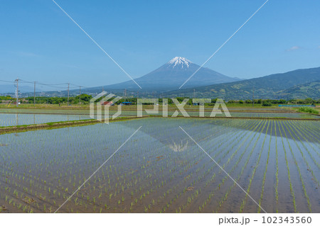 田んぼと富士山 逆さ富士 初夏 田んぼと富士山 逆さ富士 初夏 102343560
