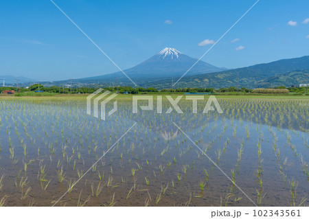 田んぼと富士山 逆さ富士 初夏 田んぼと富士山 逆さ富士 初夏 102343561