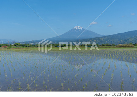 田んぼと富士山 逆さ富士 初夏 田んぼと富士山 逆さ富士 初夏 102343562