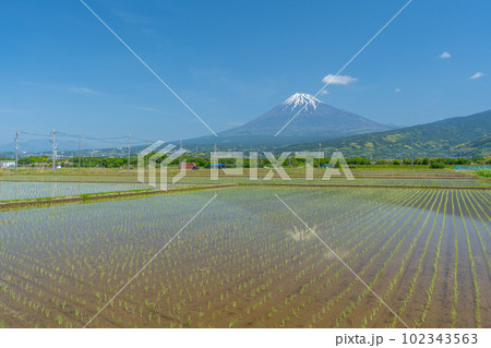 田んぼと富士山 逆さ富士 初夏 田んぼと富士山 逆さ富士 初夏 102343563