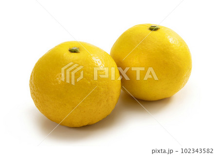 日向夏 日向夏 102343582