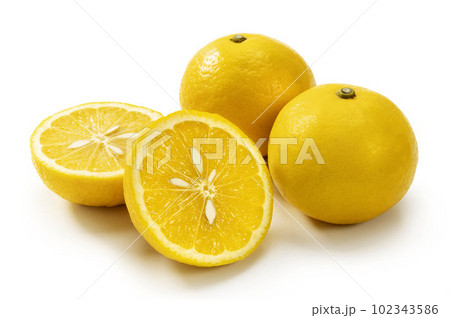日向夏 日向夏 102343586