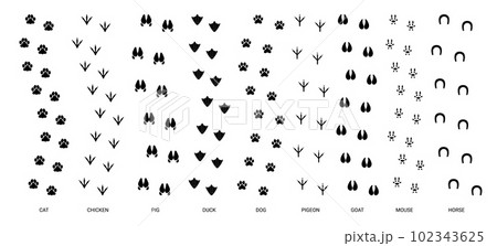Step tracks animal trails. Animals paw footprint, pet trace footstep, walking cat step, bird trail feet, dog print, silhouette pawprints vector set Step tracks animal trails. Animals paw footprint, pet trace footstep, walking cat step, bird trail feet, dog print, silhouette pawprints vector set 102343625