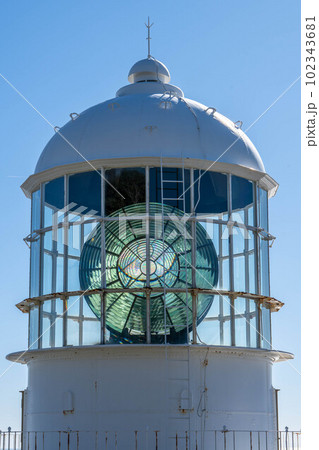 室戸岬海岸 102343681