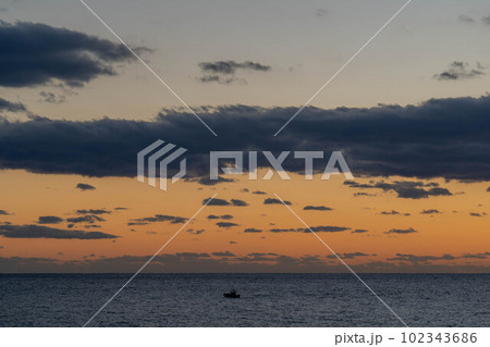 室戸岬海岸 室戸岬海岸 102343686