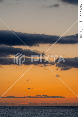 室戸岬海岸 102343693