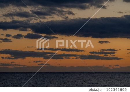 室戸岬海岸 102343696