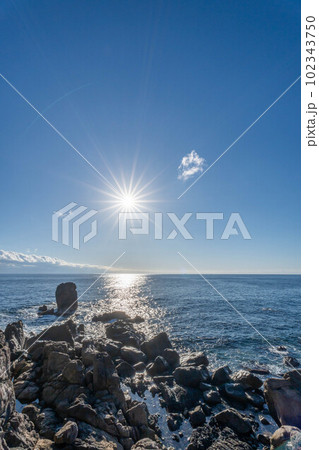 室戸岬海岸 室戸岬海岸 102343750
