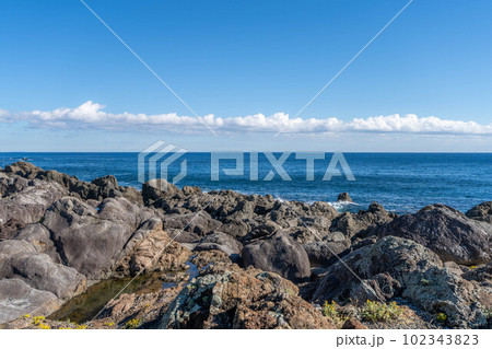 室戸岬海岸 102343823