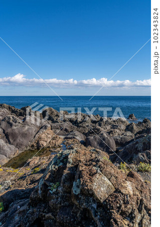 室戸岬海岸 室戸岬海岸 102343824
