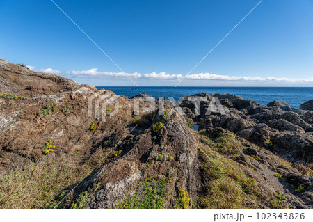 室戸岬海岸 102343826