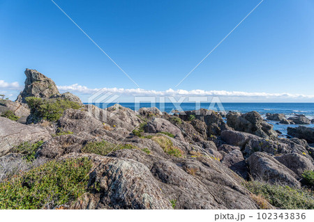 室戸岬海岸 102343836