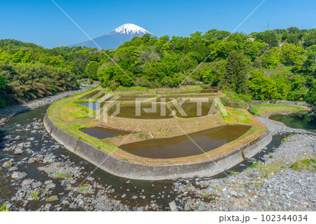 竹之下の棚田　富士山　田んぼ 102344034