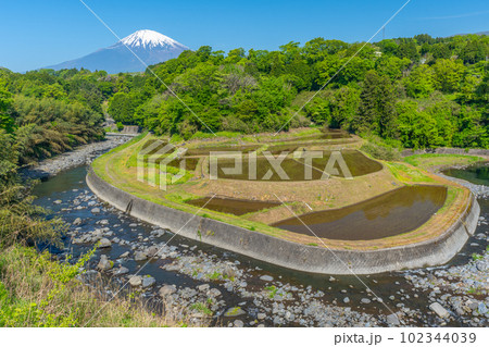 竹之下の棚田 富士山 田んぼ 竹之下の棚田 富士山 田んぼ 102344039