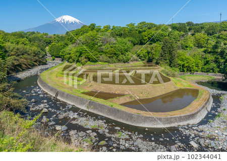 竹之下の棚田　富士山　田んぼ 102344041