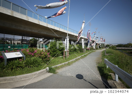 空高く舞い上がる 空高く舞い上がる 102344074