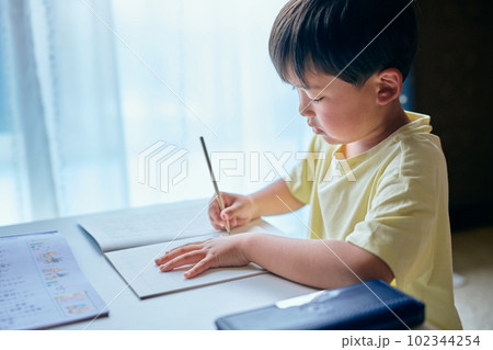 家で漢字の練習をする小学生の男の子 家で漢字の練習をする小学生の男の子 102344254