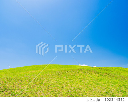 青空と新緑の丘 102344552