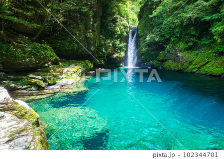 にこ淵（仁淀ブルー） 102344701