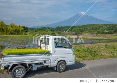 田んぼと富士山 農作業 柚野の里(富士宮市) 田んぼと富士山 農作業 柚野の里(富士宮市) 102344790